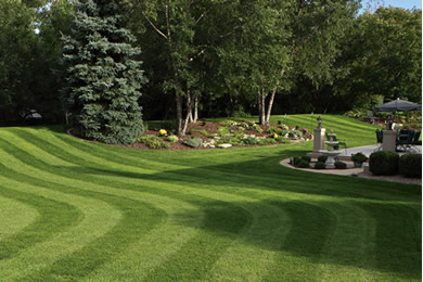 Garden aesthetics