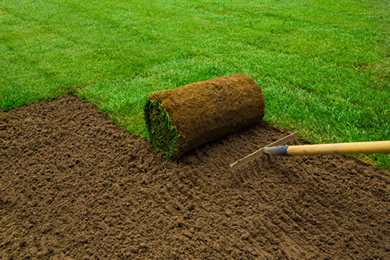 Turf Installation
